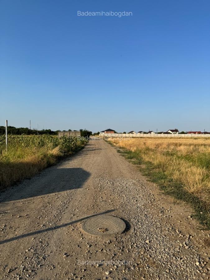 Teren intravilan 2.500 mp cu dublă deschidere – Măgurele, Ilfov - 3