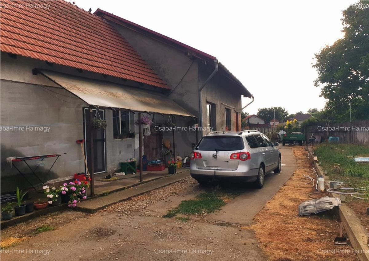 Teren Mare cu 2 case in Biharia. - 20