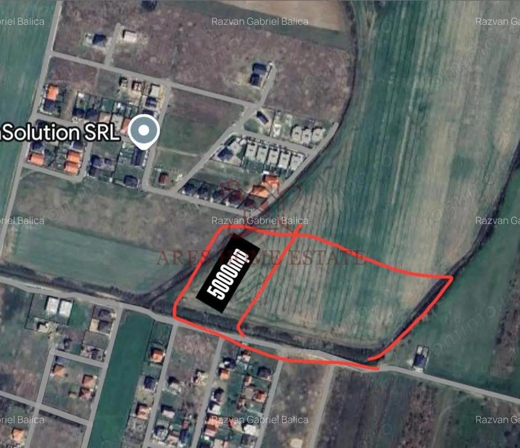 Teren parcelabil cu toate utilitatile 10.000 mp Mo?ni?a Noua 18 /mp - 5