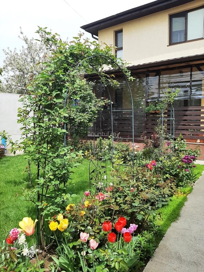 Chiajna, jud. Ilfov - 1