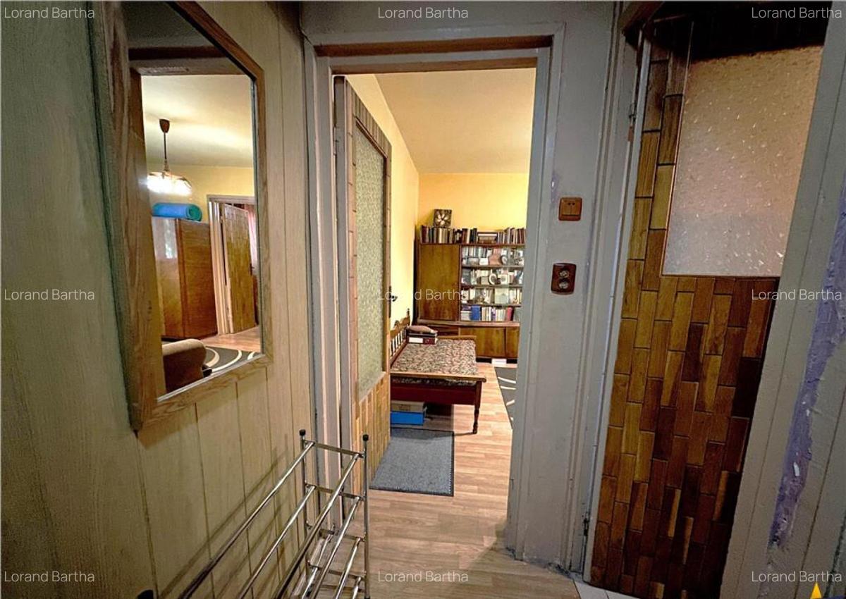 FILM3D!Apartament 3 camere,etaj2,cu balcon,malul Paraului Po - 7