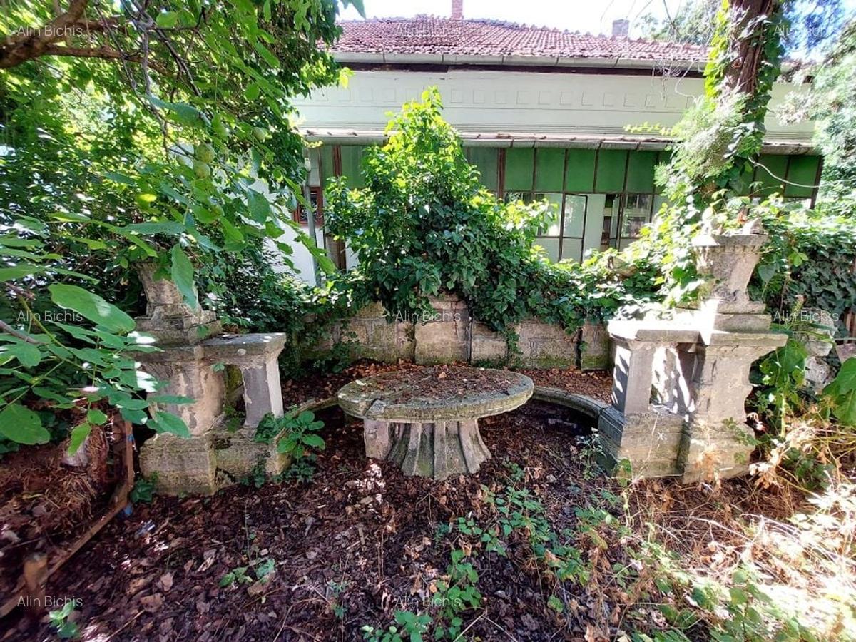 Vila impozanta  intr-o zona deosebita cu 1.440 mp teren - 9