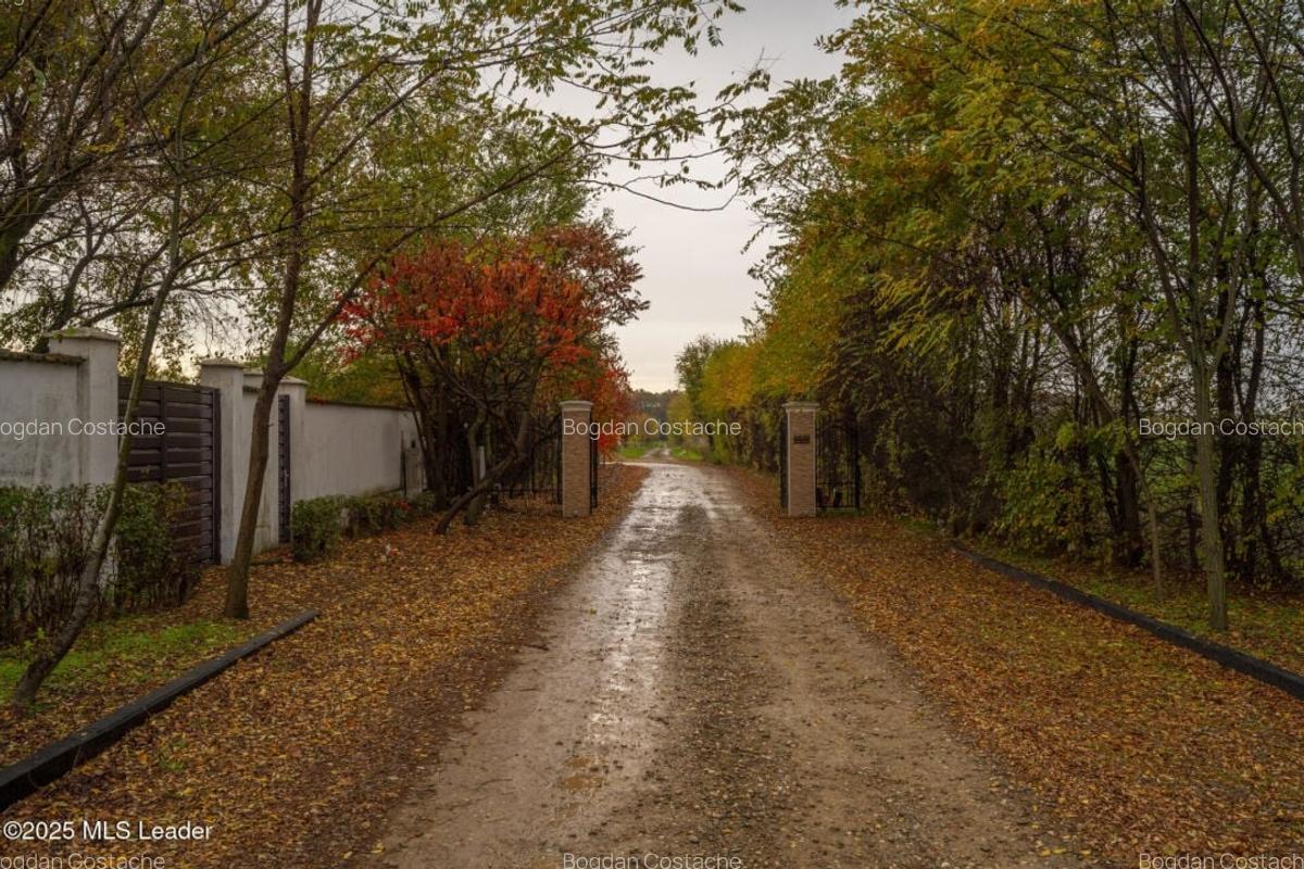 Teren intravilan de vanzare | Cartier rezidential deosebit | Afumati - 9