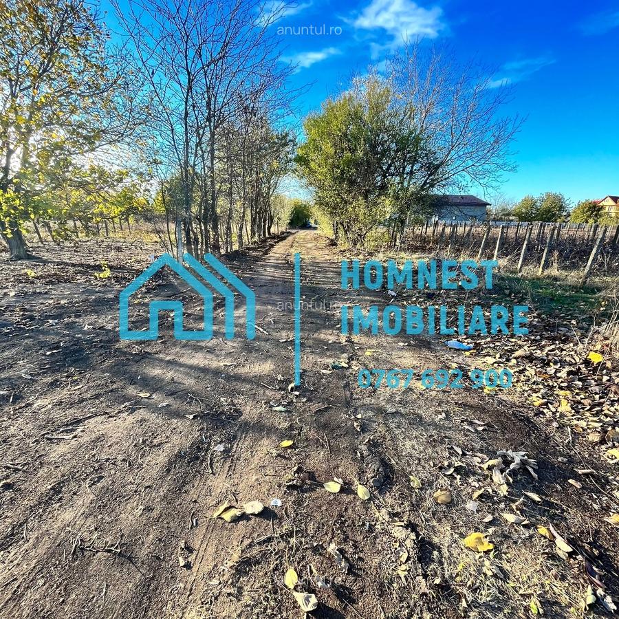 Stefanestii de Jos, Ilfov, teren 996.08 mp - 1
