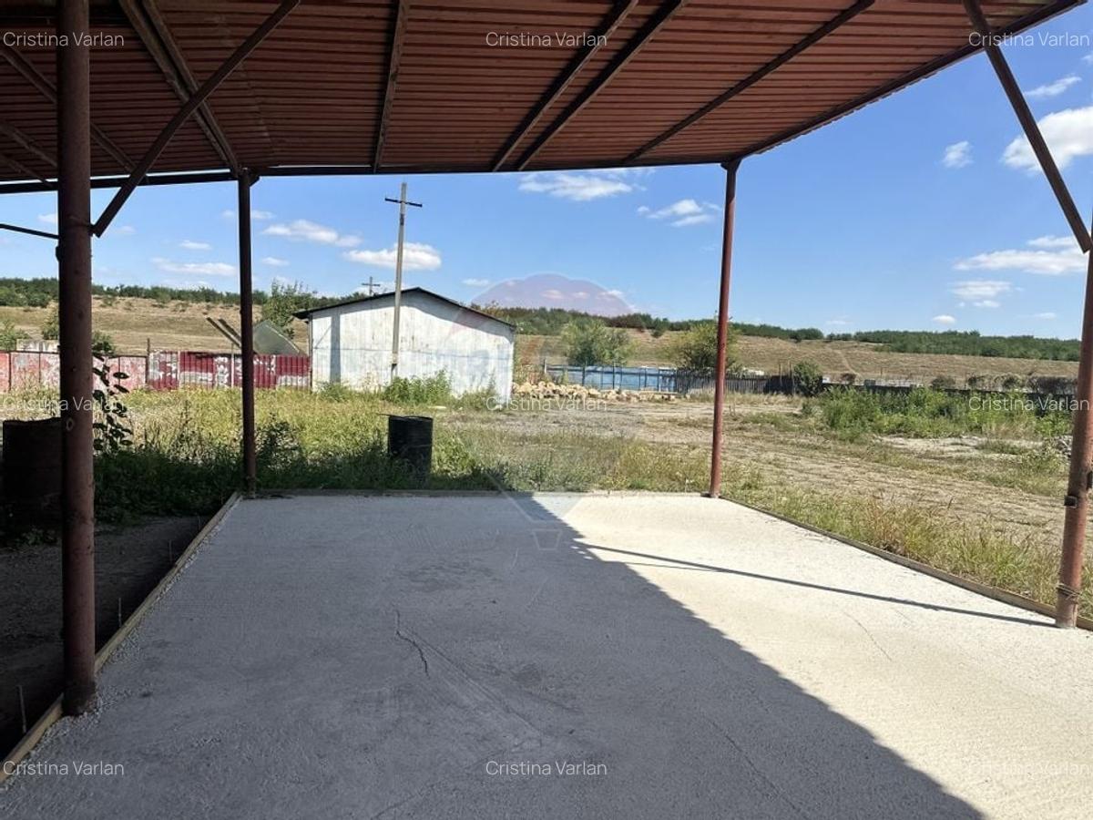 Spatiu industrial hale depozitare si productie - 8