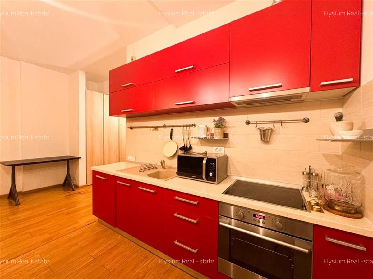 Apartament 2 camere de inchiriat Herastrau Cartierul Francez - 9