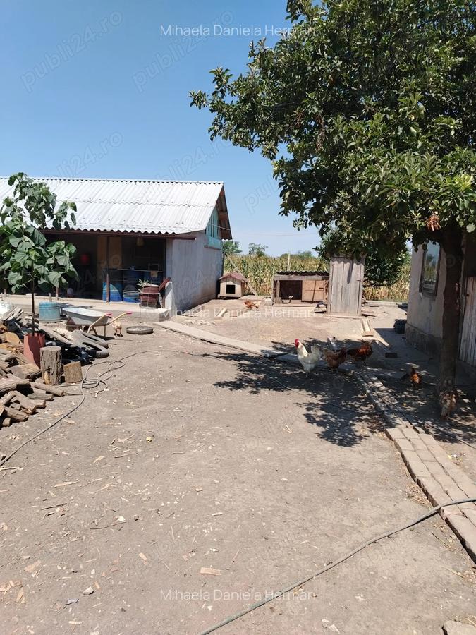 Casa de vanzare in sat LANURILE - 28
