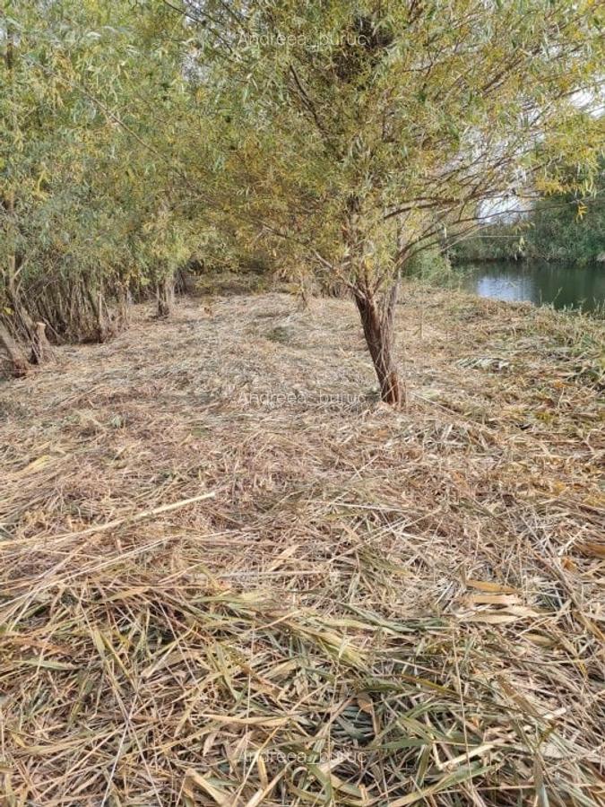 Casa si teren deschidere canal - 1