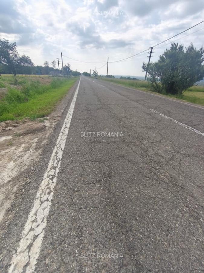 Casa+teren 5000mp, 70ml la DN 2E, zona Cacica, Radauti - 1