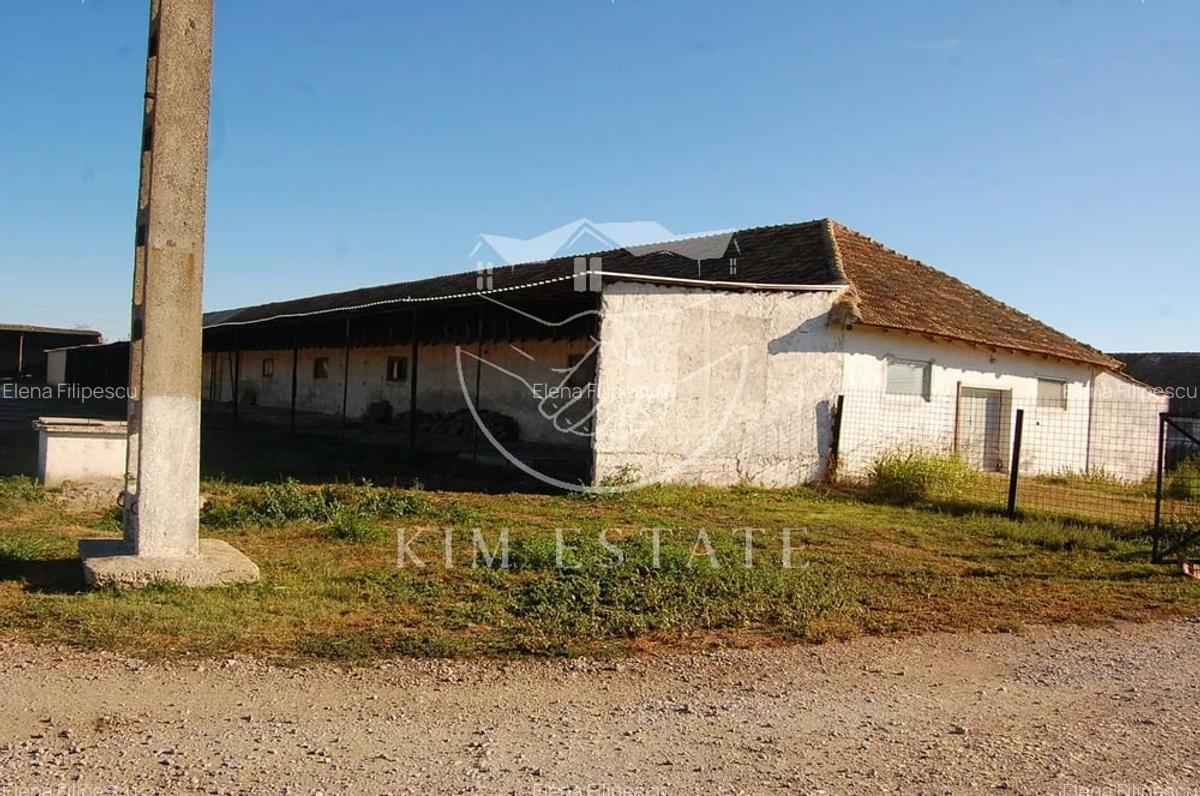 De vanzare ferma N.Balcescu - 2