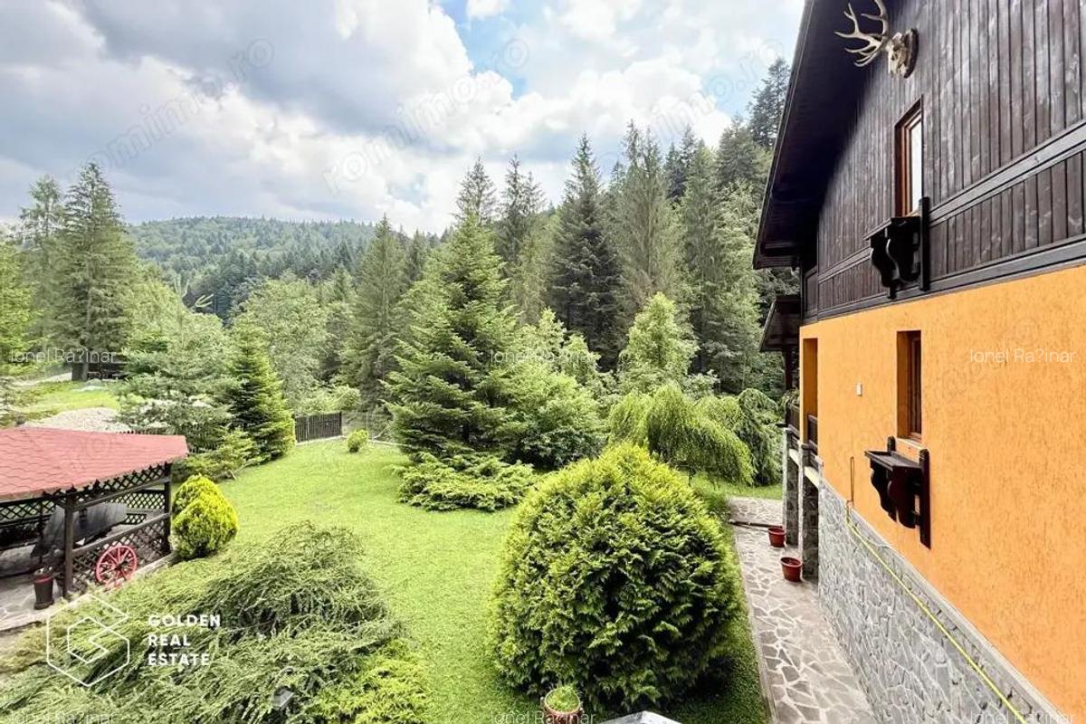 Vila de exceptie in Sinaia, mobilata, utilata, cu vedere superba - 3