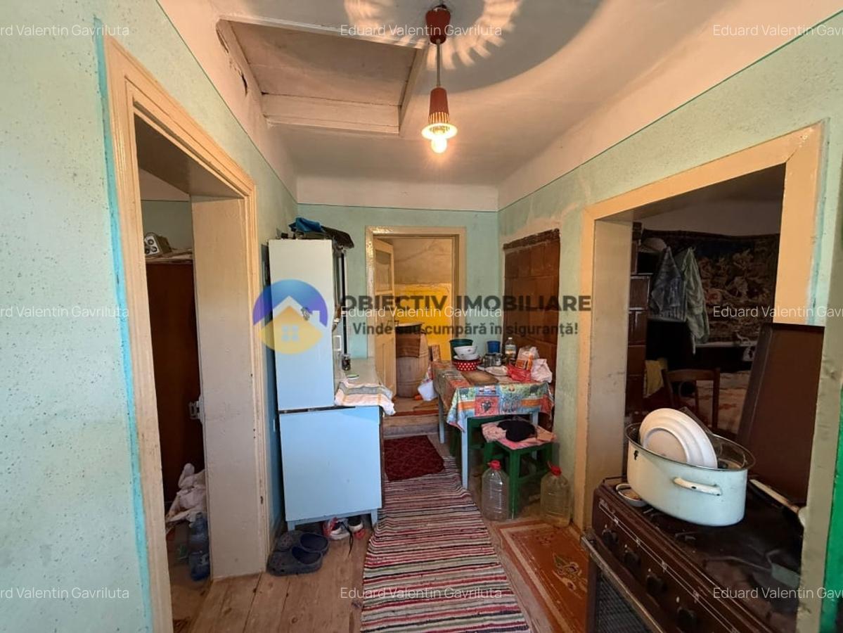Casa batraneasca / Piatra Neamt / Pentru iubitorii de natura - 7