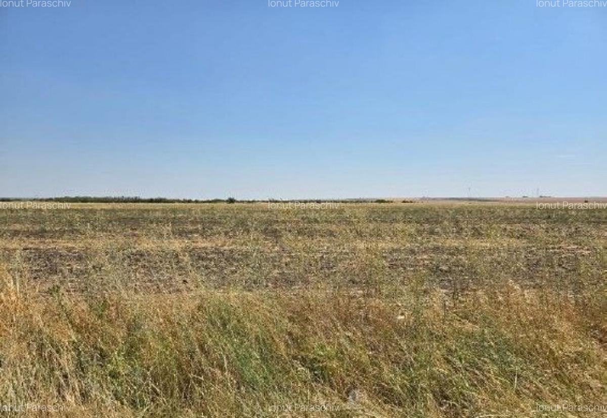 Teren extravilan Smardioasa, cota 1/6, ID: R2688427 - 5