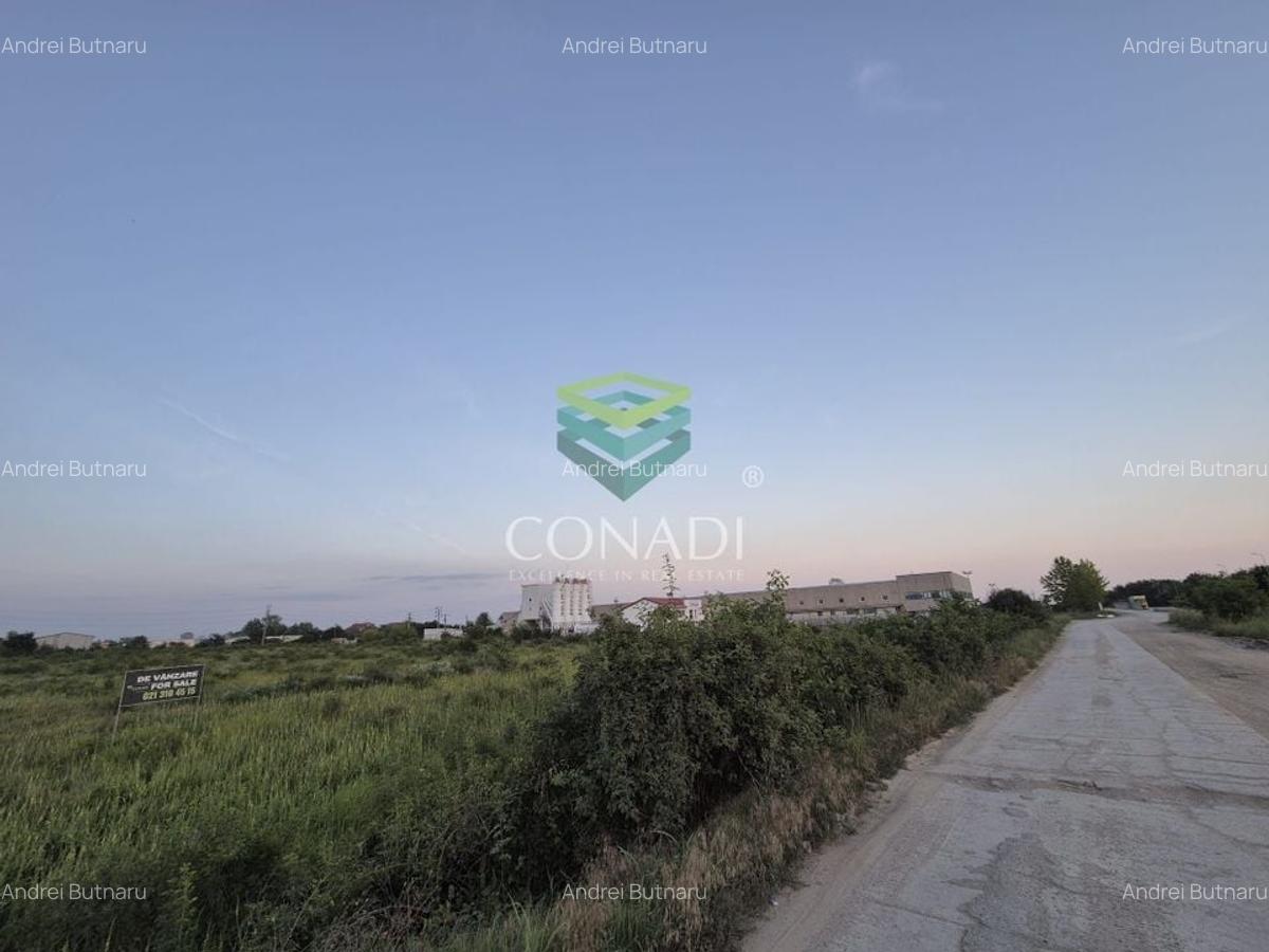 Teren  - pretabil pentru industrial - Centura -  Clinceni - 5