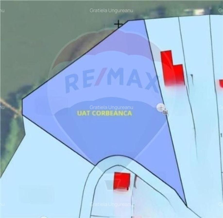 Teren intravilan 4285 mp Corbeanca Laguna Albastra deschidere la lac - 3