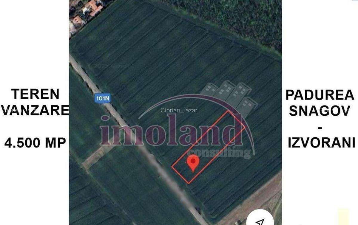 Teren intravilan - 4500 mp - Izvorani - Padurea Snagov - 2