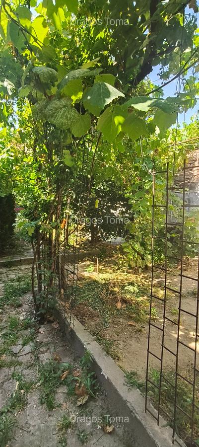 Apartament Piata Traian - 1