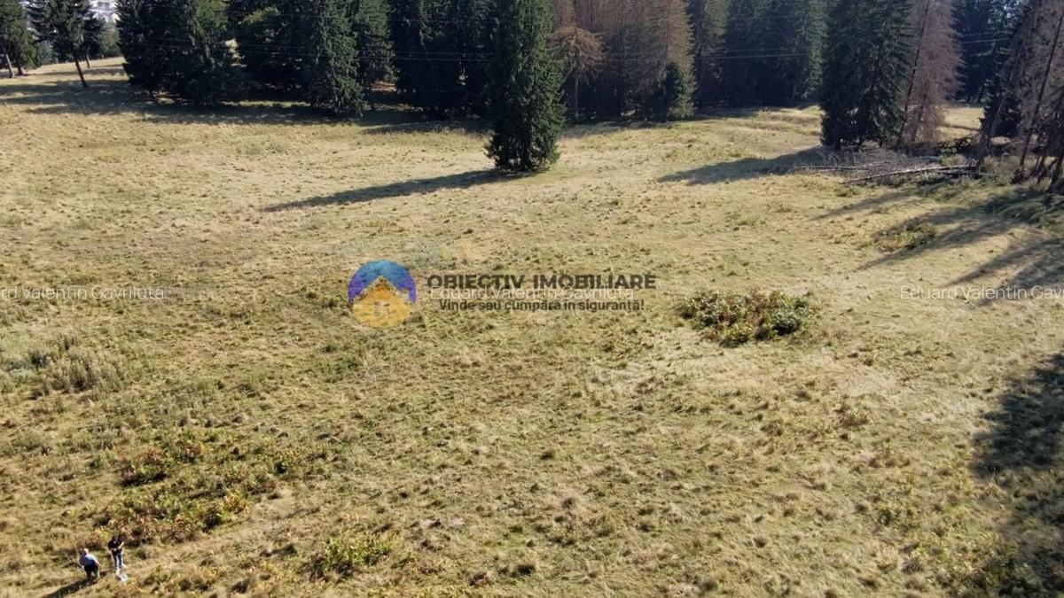 Teren de vanzare 5000 mp - Piatra Neamt - 5