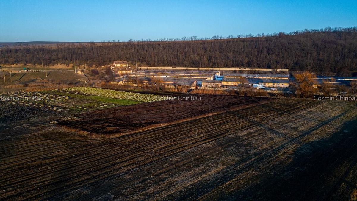 Fosta Ferma a Partidului de la Horgesti - de vanzare - 9