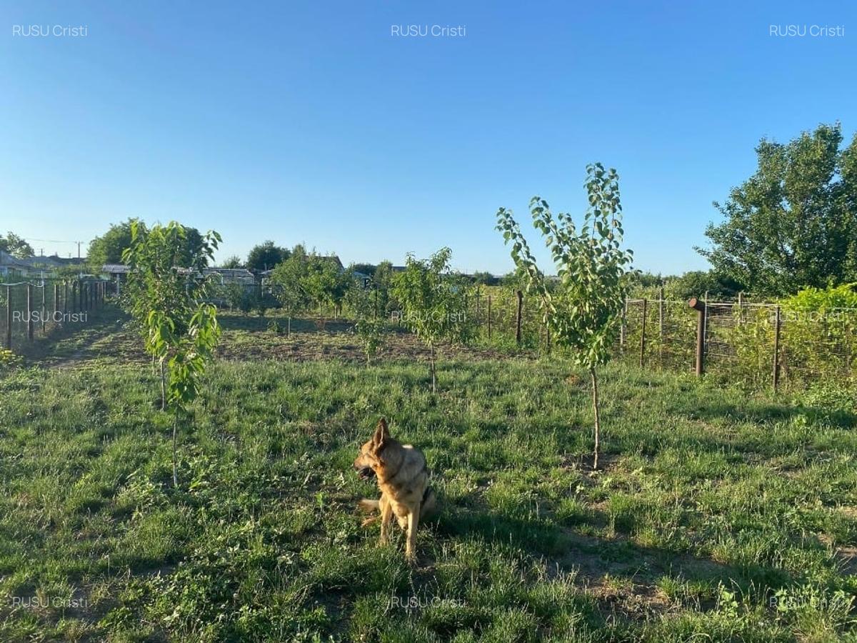 Vand Afacere la Cheie si Locuinta - 7