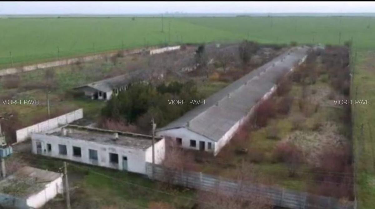 Sat Mosneni - Comuna 23 august teren intravilan 28000 mp - 3 Sat Mosneni - Comuna 23 august teren intravilan 28000 mp - 3