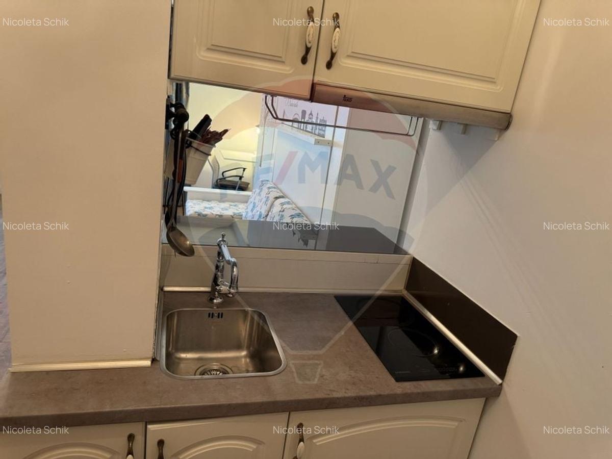 Inchiriere Garsoniera Regina Elisabeta - 7