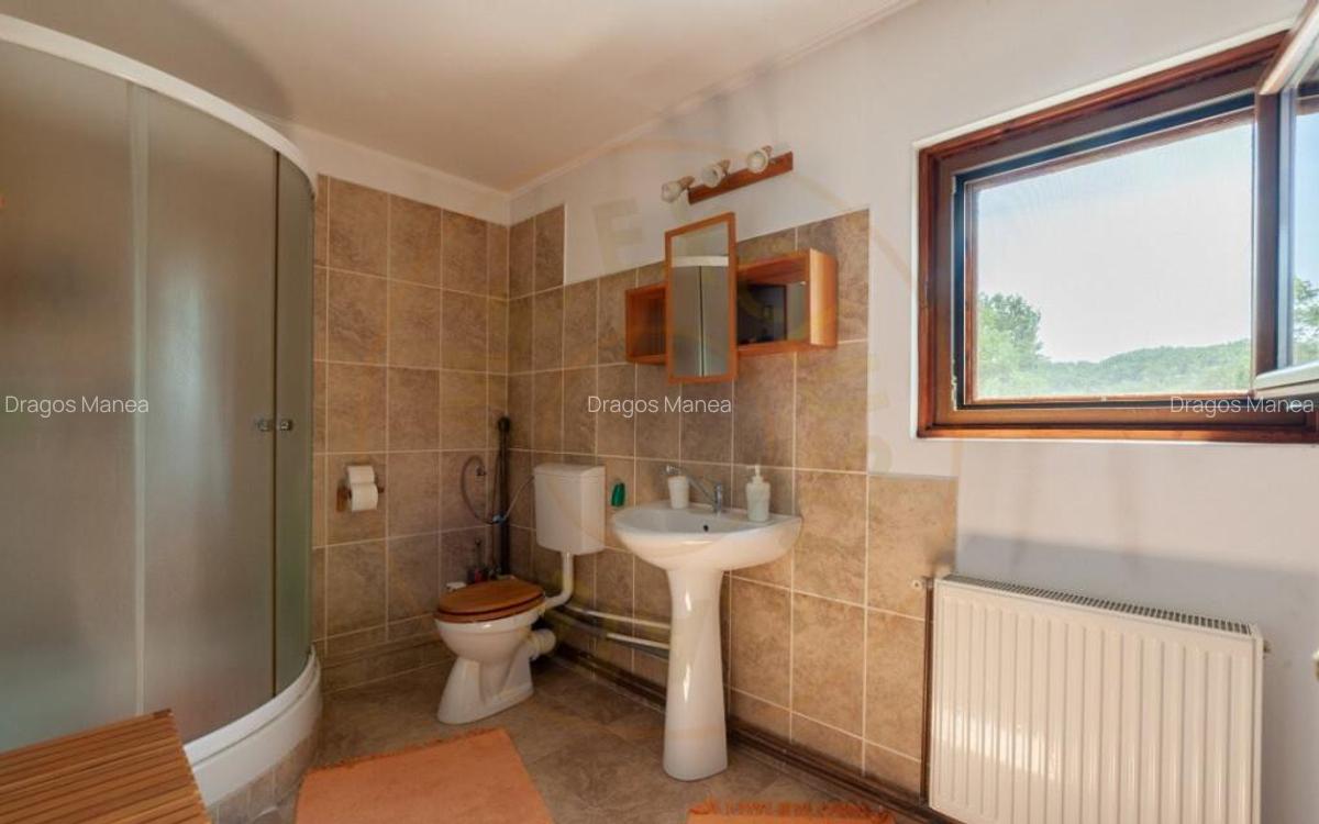 Casa rustica P+1 in zona de deal Bogati, AG - 26