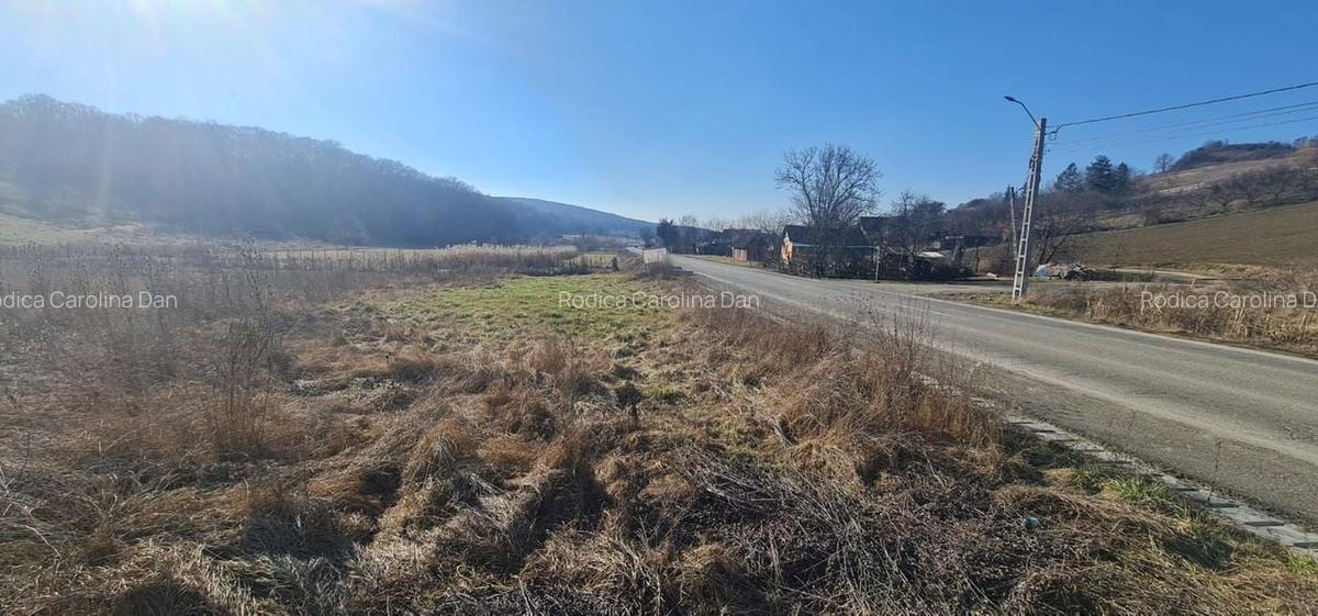 Teren intravilan de vânzare Ivanesti, Com Livezeni - 3