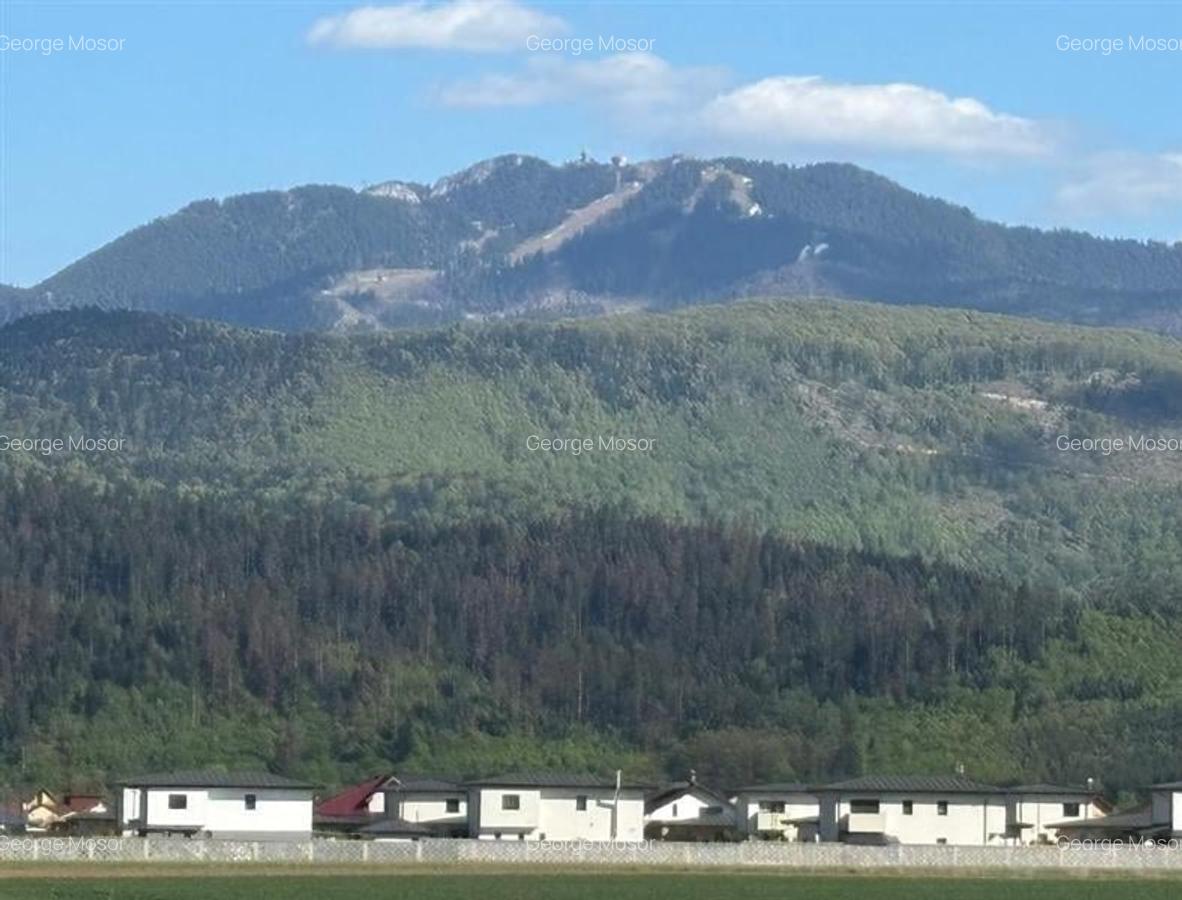 Proprietate deosebita, in nota distinctiva, Cristian, Brasov. - 10