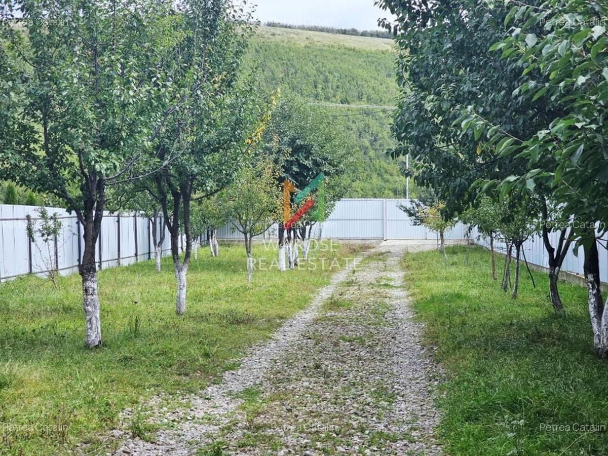Teren 2000 | Casa | Foisor | Livada | Zizin | Brasov - 11