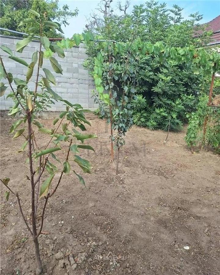 Apartament 1 camera-Centrala-Elisabetin-Curte - 5 Apartament 1 camera-Centrala-Elisabetin-Curte - 5