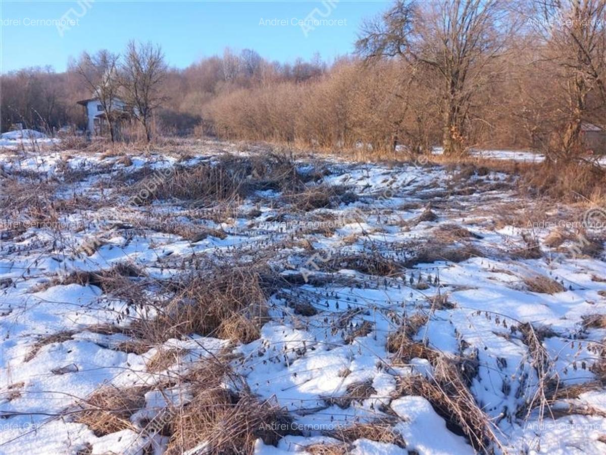 Teren intravilan 2600 mp de vanzare pe Valea Avrigului - 2