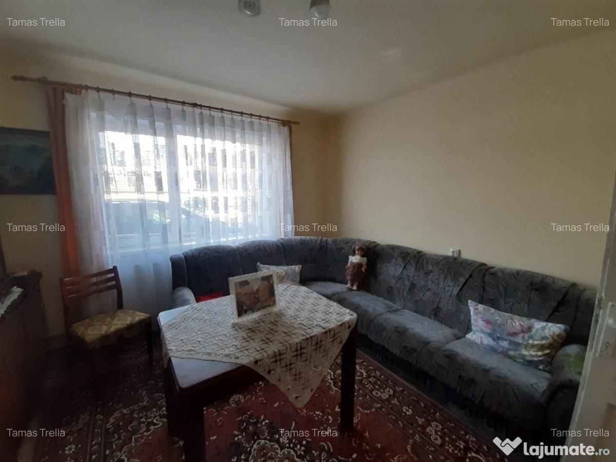 Vand casa particulara pe Gh.Doja, 2 camere, 234 mp teren - 6