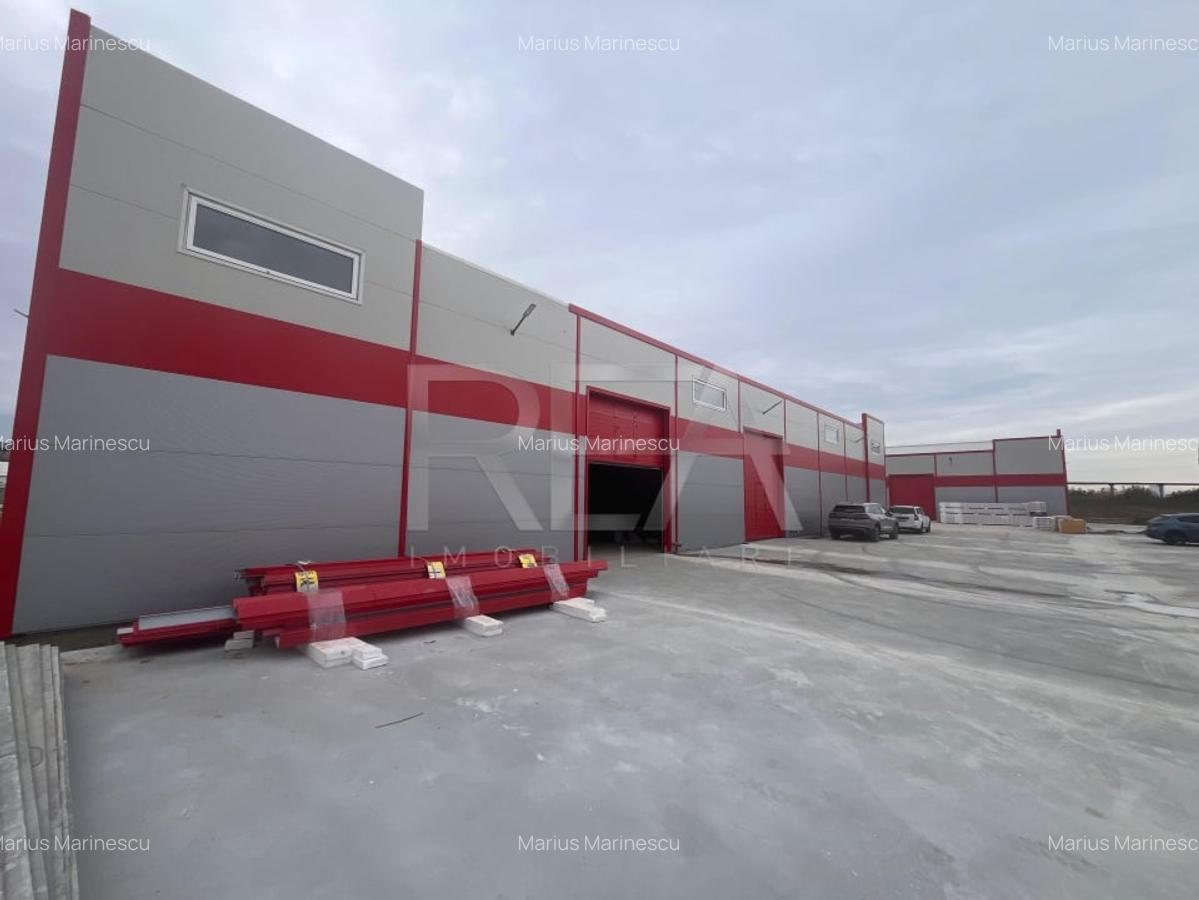 Inchiriere hala 600 mp Jilava - 2