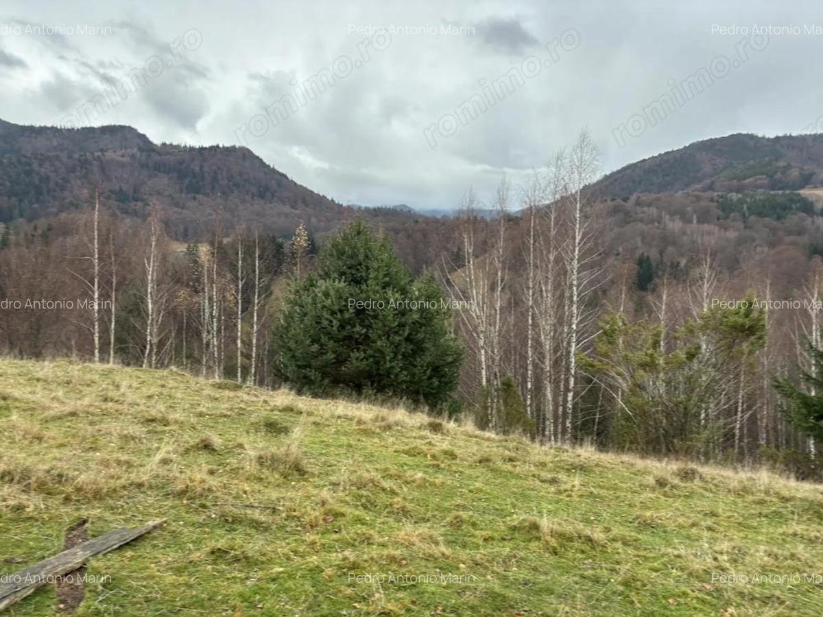 Teren extravilan 4 mp Valea Cheii Dambovicioara - 5