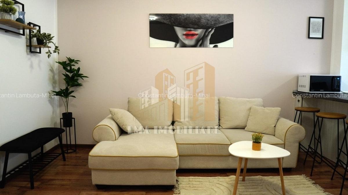 Apartament 2 camere Tip Studio Avantgarden Bartolomeu - 3