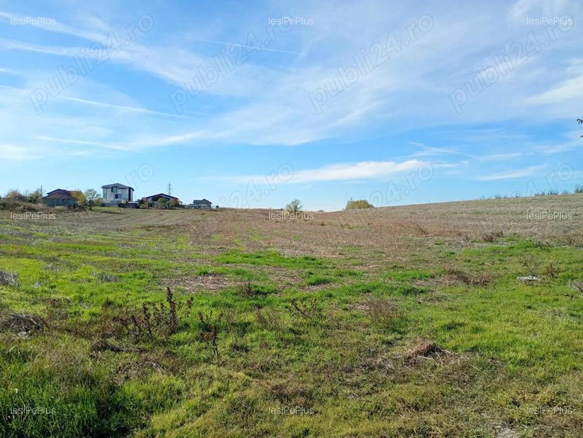 Teren 6.000 mp in Peri?, aproape de Bucure?ti ideal pentru locuin?a sau investi?ie - 3