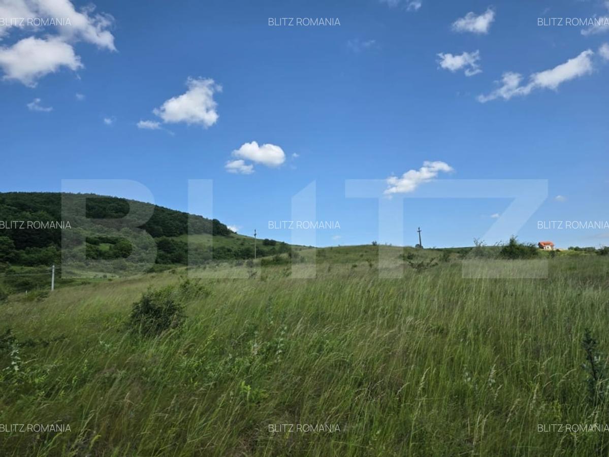 Teren potrivit pentru investitie in zona complexului Domeniul Regilor. - 2