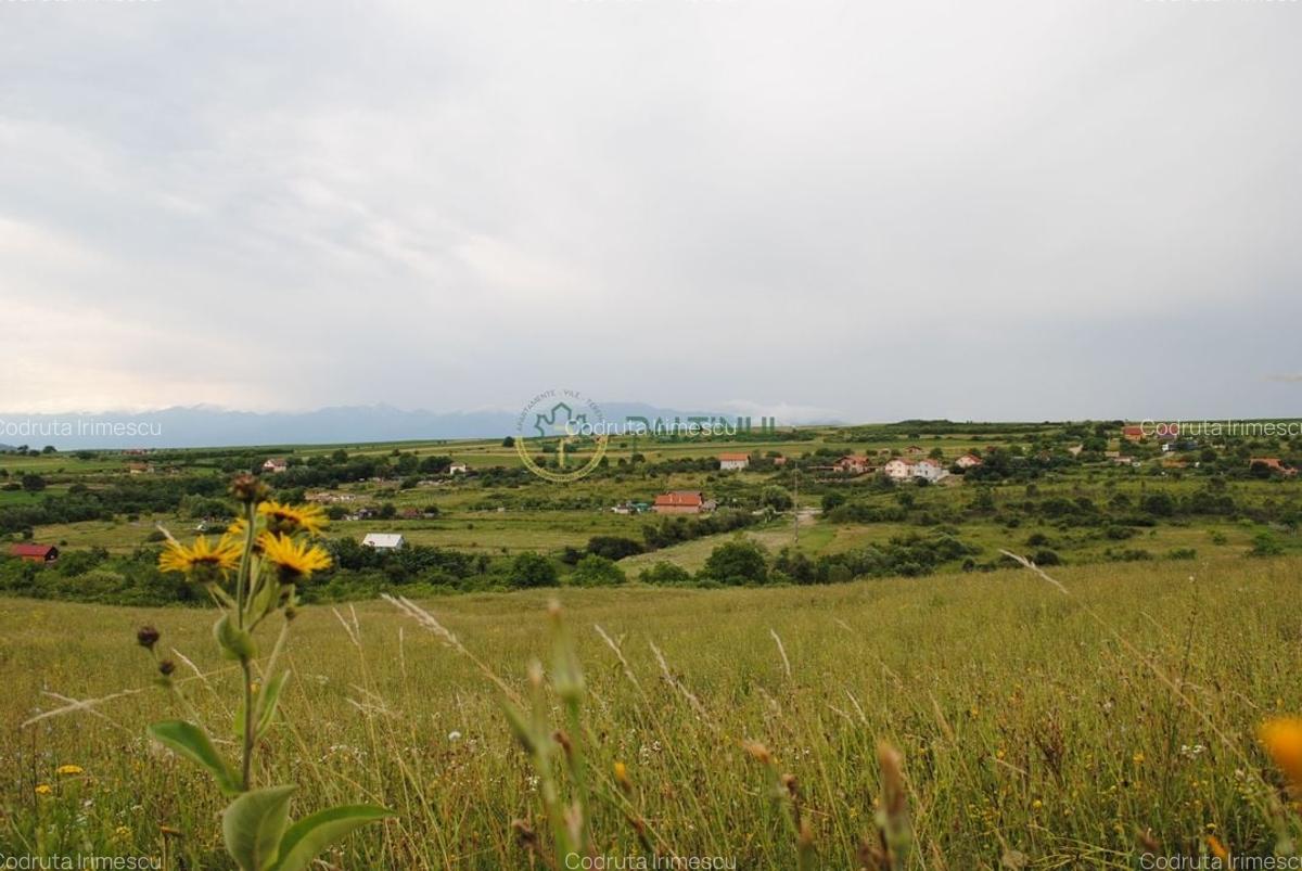 Teren 1,500 mp, vedere panoramica, Sibiu-Daia Noua - 2