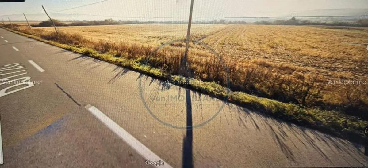 Teren extravilan de vanzare 8.188 mp - 3