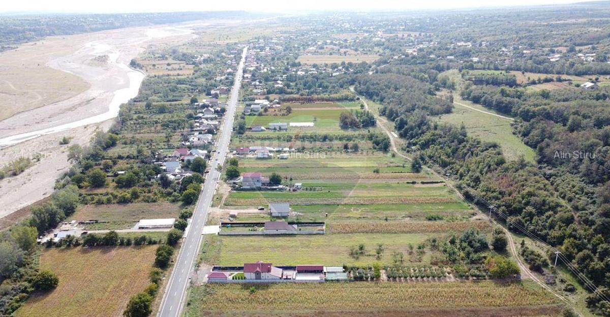 Teren Comuna Bolotesti - 3