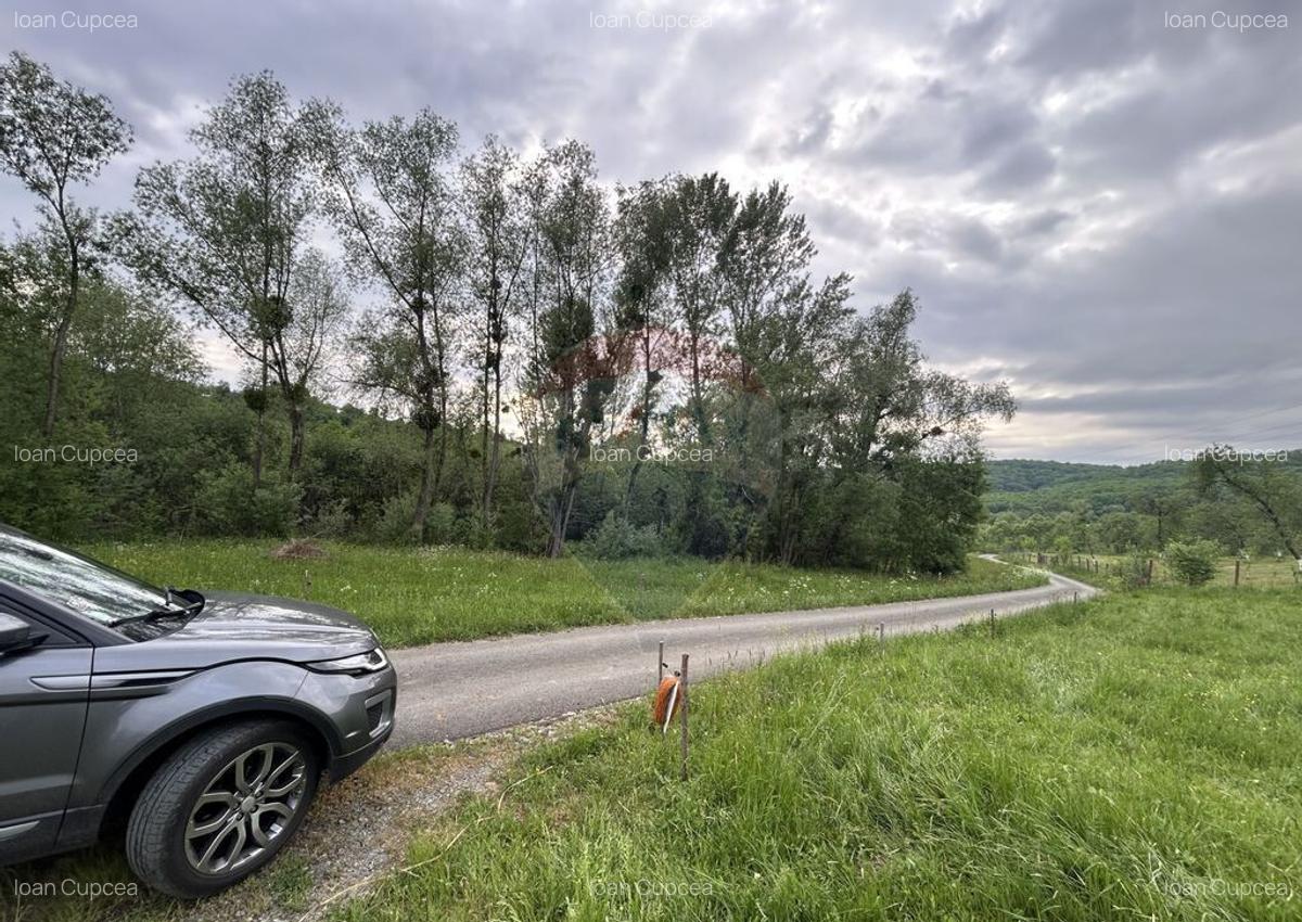 Teren 9,000mp Curtuiusu Mic / Strada PRINCIPALA - 4