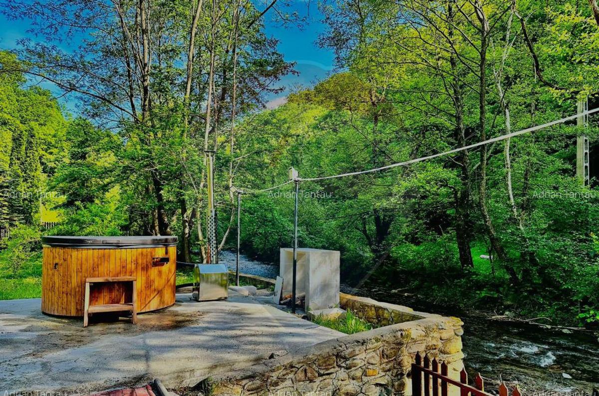 Cabana / casa de vanzare in Baisoara, 285 MP ! Piscina! C... - 12