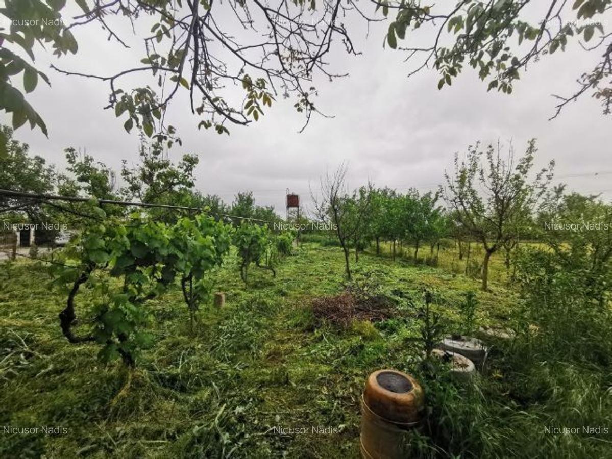 Casă de vânzare în Oșorhei - 2