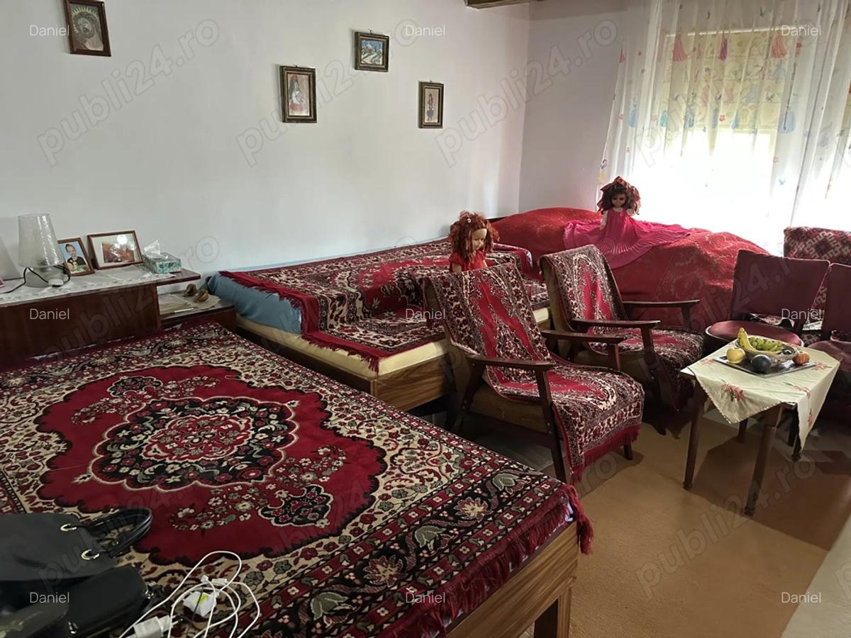 De vanzare casa sat Tes, aproape de Timi?oara Topolova?u Mare - 9