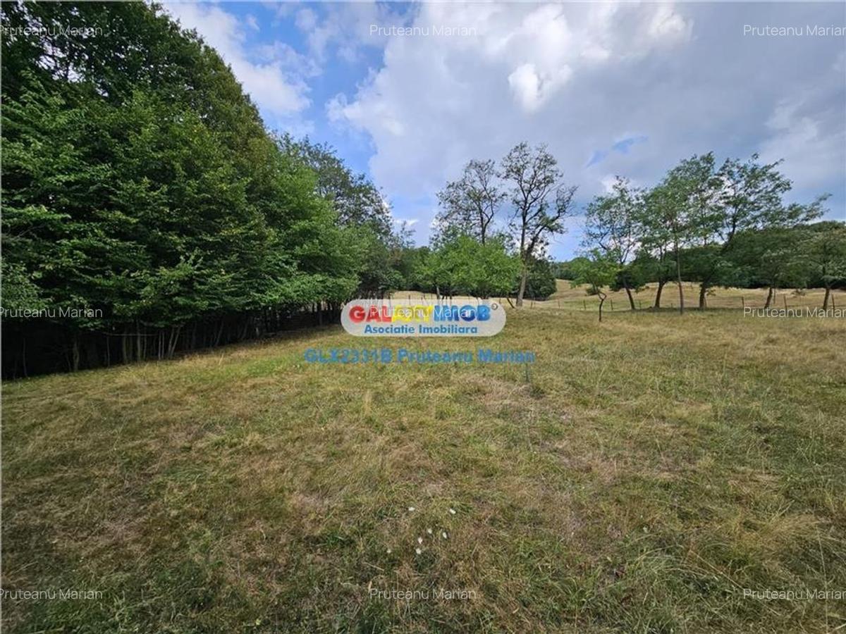Vanzare teren 2680 m situat la Curtea de Arges cu iesire spre Transfag - 16