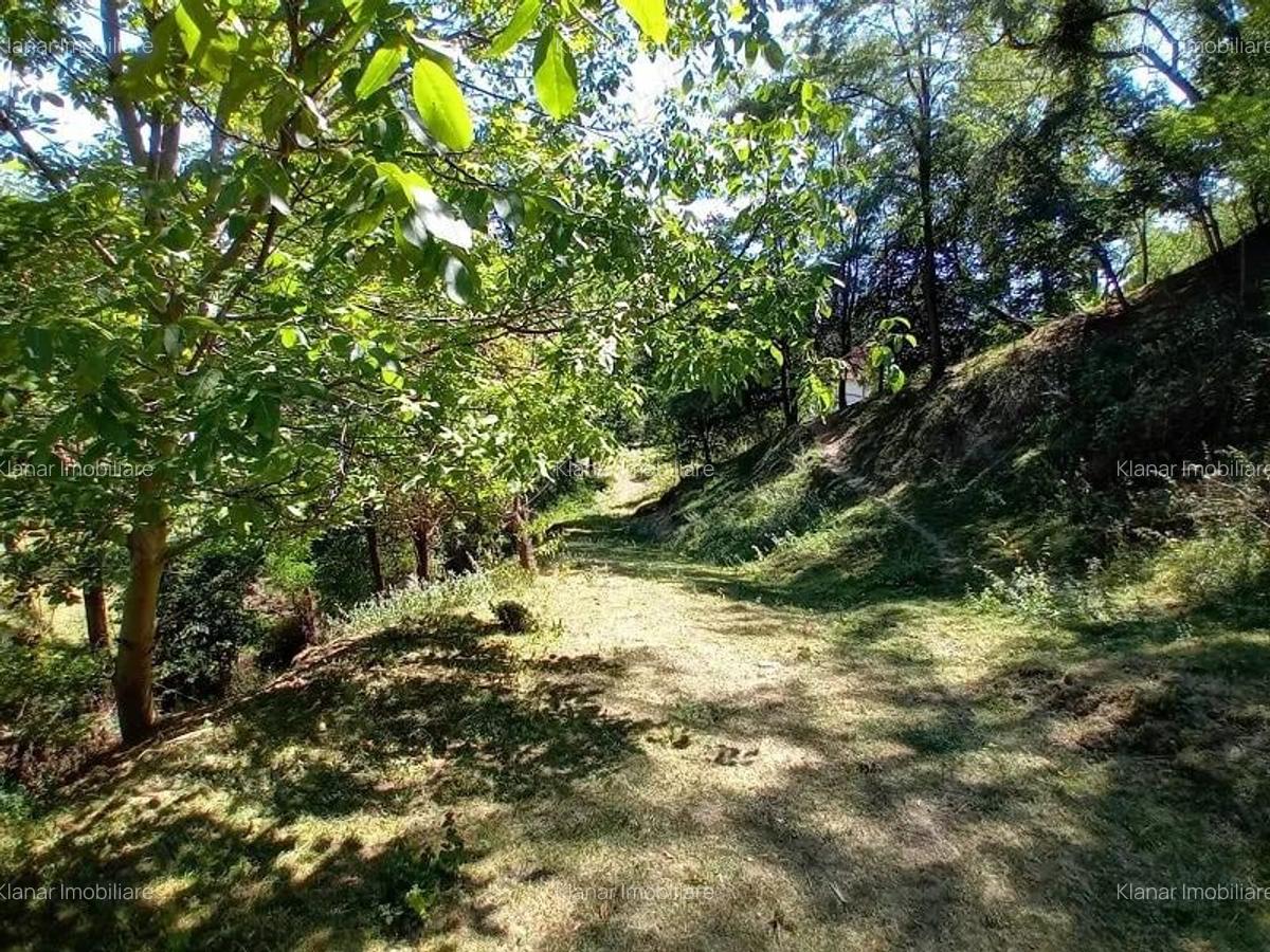 De vanzare teren intravilan in zona de munte - 6