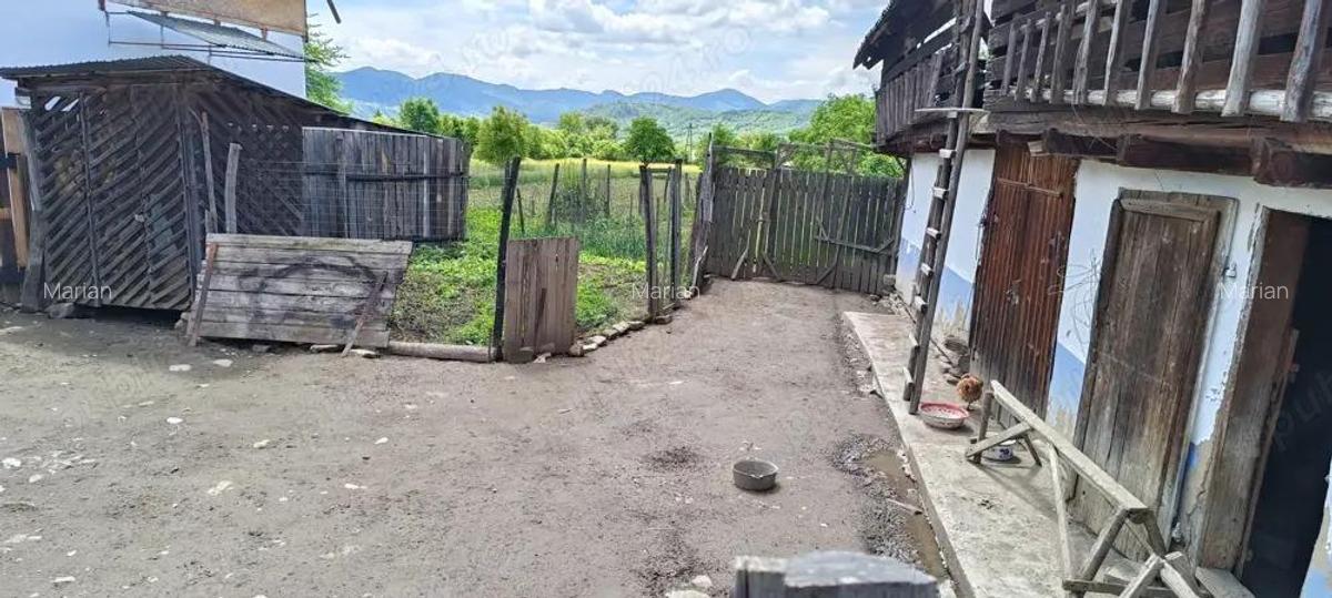 Vand casa plus teren in Sat Larga, com Dofteana, jud. Bacau - 5