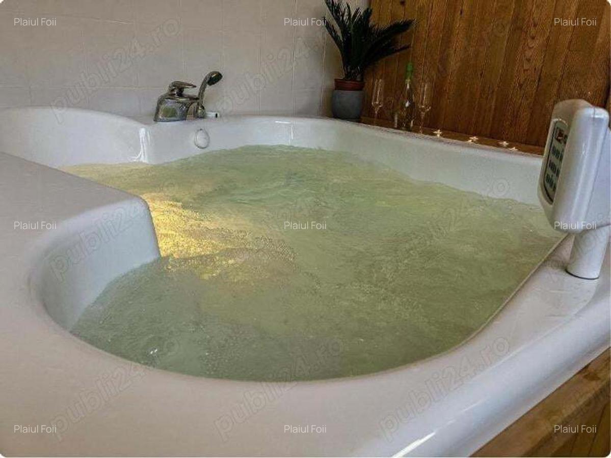 Vila de lux la munte Brasov Zarnesti Plaiul Foii, 2 hectare de teren, jacuzzi, semineu, sauna, Gym - 10