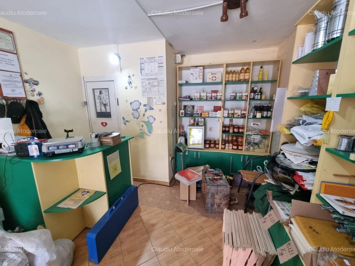 Spațiu comercial, 20 mp în Nicolina - 3